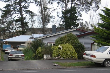 Photo of property in 135a Rimu Street, Maeroa, Hamilton, 3200