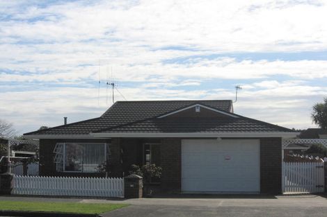 Photo of property in 161 Bath Street, Levin, 5510