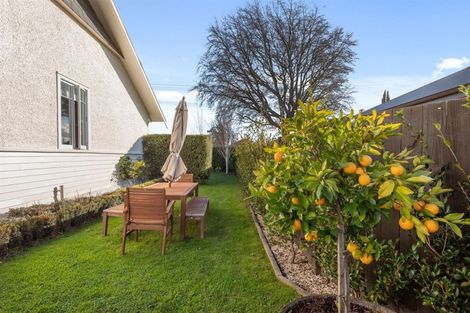 Photo of property in 26 Monro Street, Blenheim, 7201