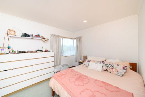 Photo of property in 9 Edgecombe Court, Roslyn, Palmerston North, 4414