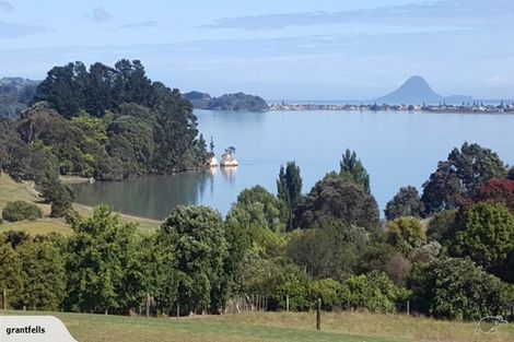 Photo of property in 231 Burke Road, Wainui, Opotiki, 3198