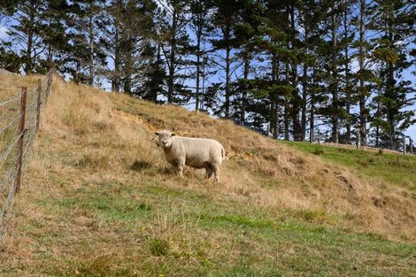 Photo of property in 289 Otuhi Road, Wheki Valley, Whangarei, 0179