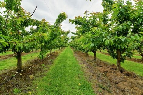 Photo of property in 66 Gladsmuir Road, Queensberry, Cromwell, 9383