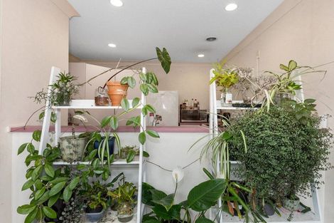 Photo of property in 10 Oak Street, Morrinsville, 3300