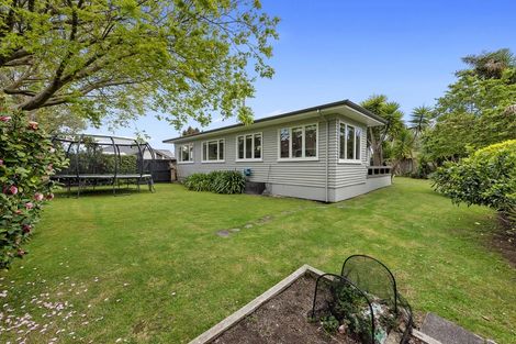 Photo of property in 77 Insoll Avenue, Enderley, Hamilton, 3214