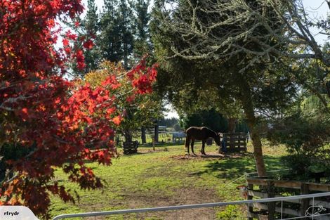 Photo of property in 1138 Omanawa Road, Omanawa, Tauranga, 3171