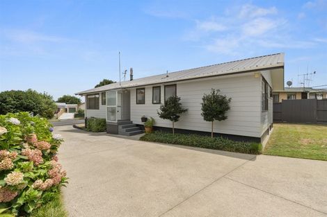 Photo of property in 69 Young Street, Morrinsville, 3300