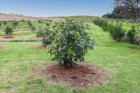 Photo of property in 54d Chard Road, Aongatete, Katikati, 3178