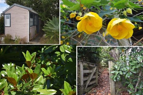 Photo of property in 1738 State Highway 12, Paparoa, 0571