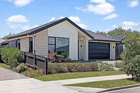 Photo of property in 12 Harp Street, Morrinsville, 3300