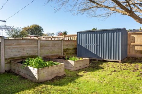 Photo of property in 29 Bear Street, Tirau, 3410