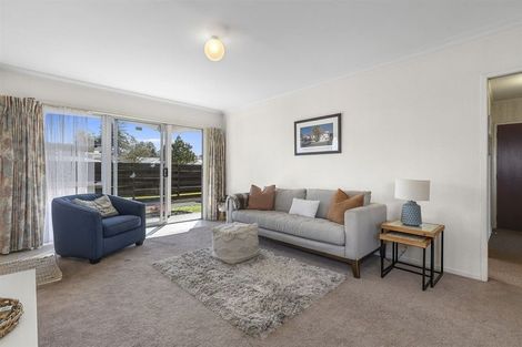 Photo of property in 16c Burrows Street, Tauranga South, Tauranga, 3112