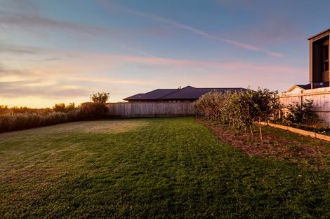 Photo of property in 20 Aderman Place, Hurworth, New Plymouth, 4310