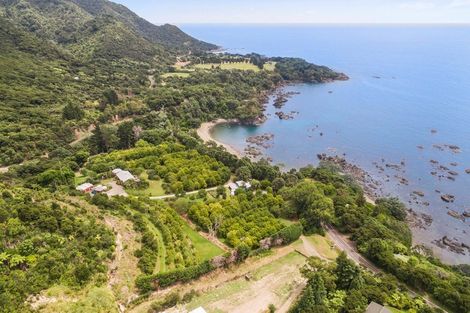 Photo of property in 8328 State Highway 35, Whanarua Bay, Te Kaha, 3199