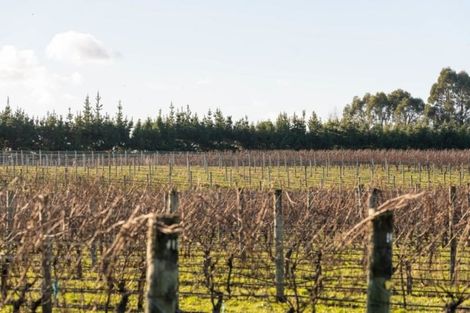 Photo of property in 20 Dakins Road, East Taratahi, Carterton, 5887