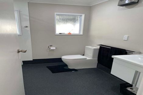 Photo of property in 13 Guy Avenue, Levin, 5510