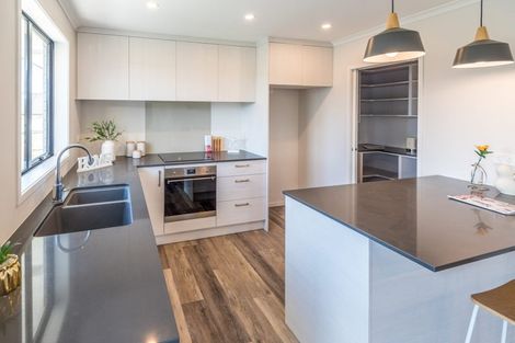 Photo of property in 101 Harriet Johnston Drive, Pokeno, 2402