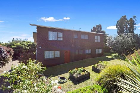 Photo of property in 57 Young Street, Morrinsville, 3300
