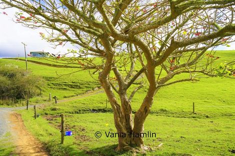 Photo of property in 533 Pataua South Road, Pataua South, Onerahi, 0192