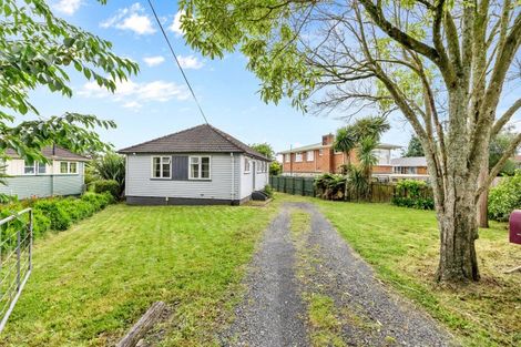 Photo of property in 40 Marchant Street, Putaruru, 3411