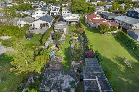 Photo of property in 42 Gaine Street, New Plymouth, 4310