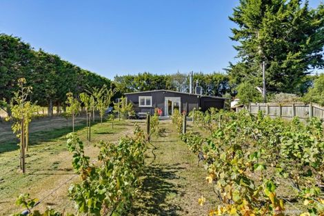 Photo of property in 56 Princess Street, Martinborough, 5711