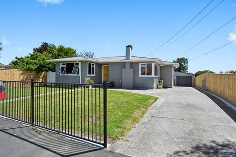 Photo of property in 59 Alfred Street, Fairfield, Hamilton, 3214