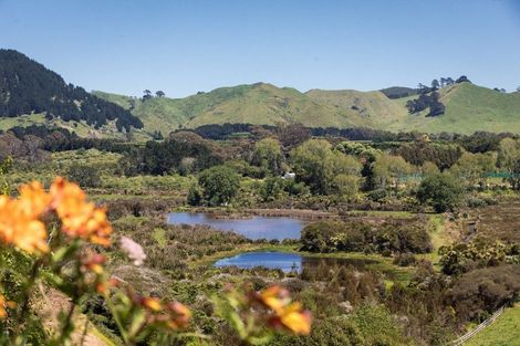Photo of property in 91 Koutunui Road, Athenree, Waihi Beach, 3177