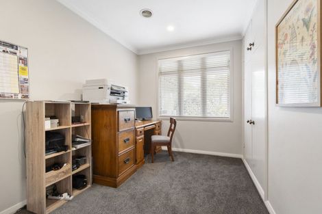 Photo of property in 19 Cremorne Avenue, Hokowhitu, Palmerston North, 4410