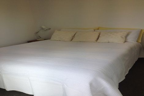 Photo of property in The Peak Apartments, 406/170 Taranaki Street, Te Aro, Wellington, 6011