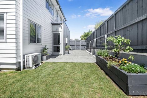 Photo of property in 1/1 Hibiscus Avenue, Hamilton Lake, Hamilton, 3204