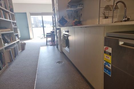 Photo of property in Aniva Terrace, 12 Arney Street, Newtown, Wellington, 6021