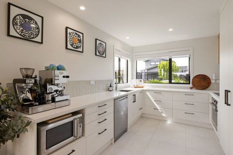 Photo of property in 55 Probert Crescent, Chartwell, Hamilton, 3210