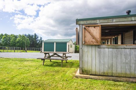 Photo of property in 293 Koputarao Road, Koputaroa, Shannon, 5575