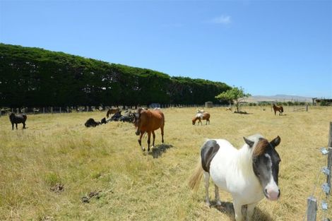 Photo of property in 247 Seabridge Road, Motukarara, Christchurch, 7672
