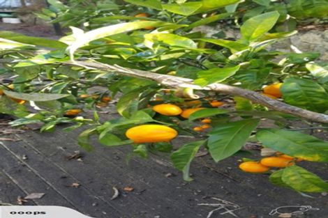 Photo of property in 9 Fowlers Avenue, Frankton, Hamilton, 3204