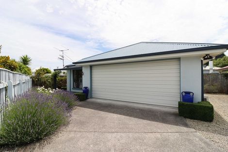 Photo of property in 21 Timms Place, Kuripuni, Masterton, 5810