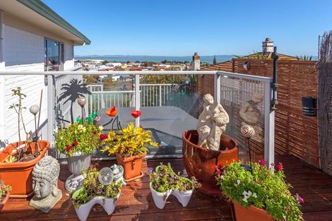 Photo of property in 103 Campbell Street, Thames, 3500