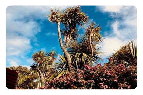 Photo of property in 34 Hawea Street, Mount Maunganui, 3116