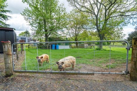 Photo of property in 699 State Highway 23, Whatawhata, Hamilton, 3285