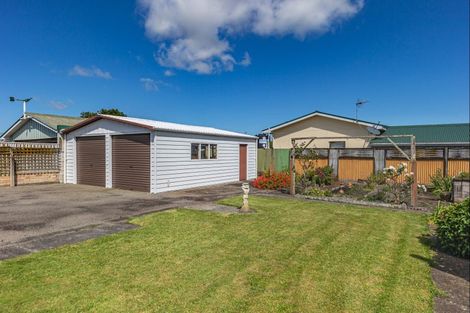 Photo of property in 69 Winchester Street, Levin, 5510