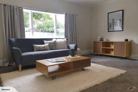 Photo of property in 39 Petrie Street, Richmond, Christchurch, 8013