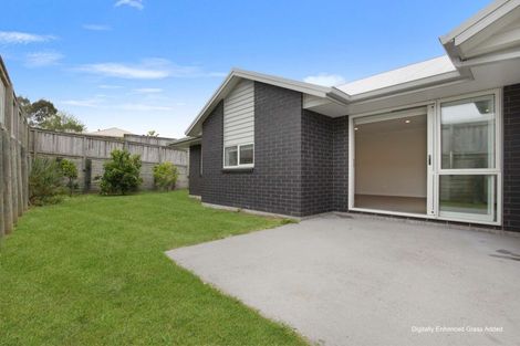 Photo of property in 19 Kirk Lane, Ohauiti, Tauranga, 3112