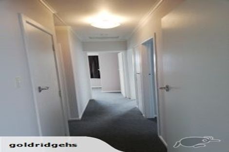 Photo of property in 19 Raymond Street, Fairview Downs, Hamilton, 3214