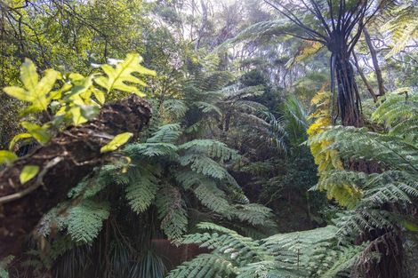 Photo of property in 1223 Old North Road, Helensville, 0875