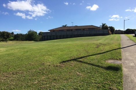 Photo of property in 46 Merriman Place, Pyes Pa, Tauranga, 3112