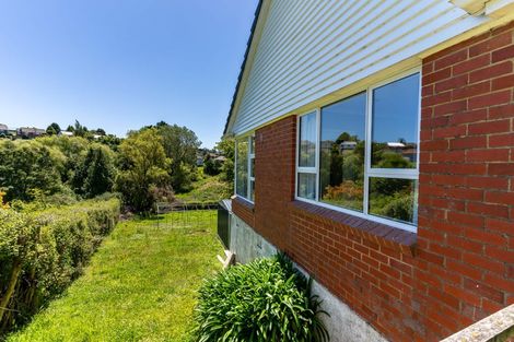 Photo of property in 20 Panmure Avenue, Calton Hill, Dunedin, 9012