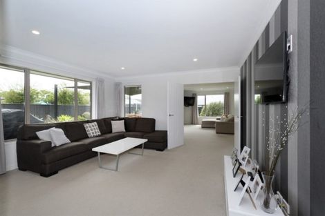 Photo of property in 219 Taylor Pass Road, Witherlea, Blenheim, 7201