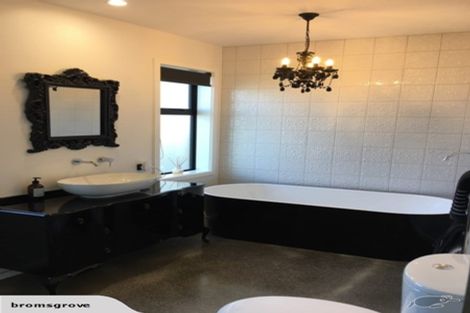 Photo of property in 56 Whakatomo Place, Havelock North, 4130