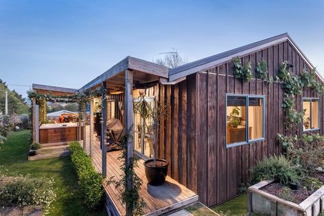 Photo of property in 17 Paine Street, Judea, Tauranga, 3110